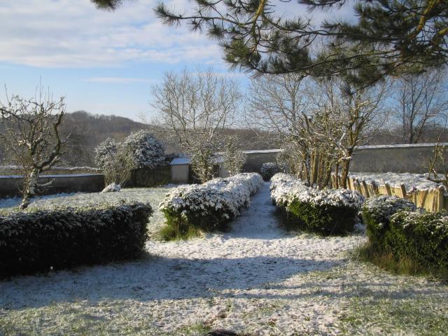 In the garden in winter